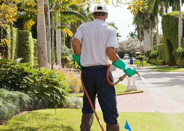 About Ellenton GA Pest Control Pros